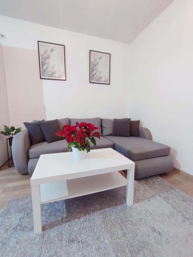 Central Residence Бая-Маре Экстерьер фото